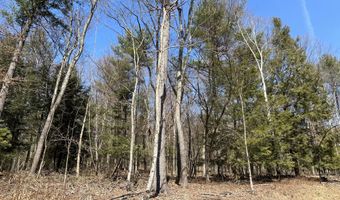 TALLMAN HOLLOW ROAD LOT #2, Montoursville, PA 17754