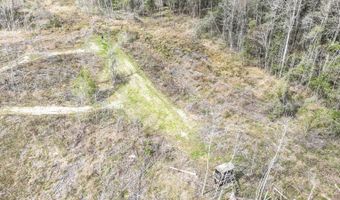 919 County Road 6628, Banks, AL 36005