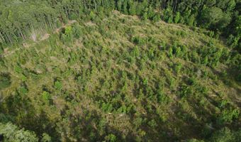 Goldenrod Drive, Barnwell, SC 29812