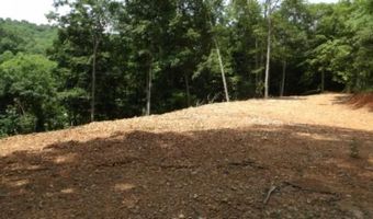 8 63ac Gravely Hill Rd, Bethpage, TN 37022