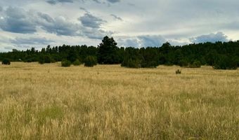 Par 18 Old Homestead Ln, Beulah, CO 81023