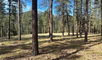 31760 HWY 10 W, Alberton, MT 59820