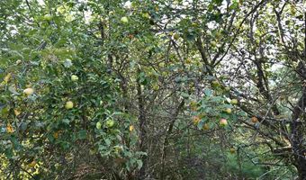 9537 LAKEVIEW, Alanson, MI 49706