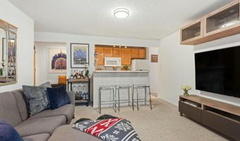 119 E Cooper Ave #5, Aspen, CO 81611