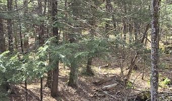 Jacobs Ladder Rd, Becket, MA 01223