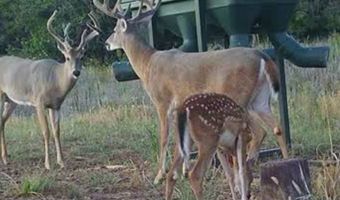 1299 E US HWY 160, Argonia, KS 67004
