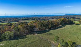 490 Miller Rd, Afton, TN 37616