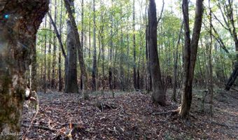 20 Ac. 9 Hwy, Bruce, MS 38915