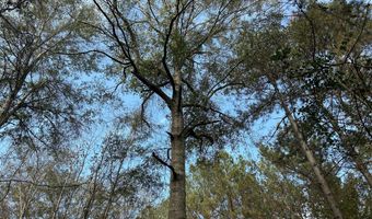 Watts Ln NW, Brookhaven, MS 39601