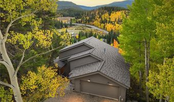 1139 BOREAS PASS Rd, Breckenridge, CO 80424