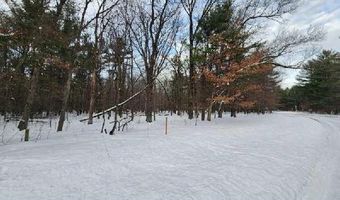 L28 And L29 S Badger Lane, Arkdale, WI 54613