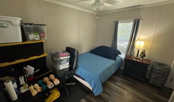 595 Drage Dr, Apopka, FL 32703