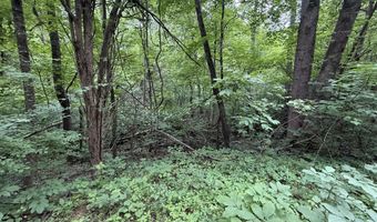 5 Lots Fortunato Dr, Baneberry, TN 37890