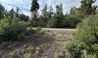 Porpoise Lane Lot 29, Bonanza, OR 97623