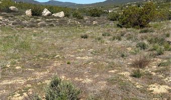 0 Scouts Ln, Anza, CA 92539