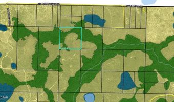 NW Camp Head Road, Altha, FL 32421