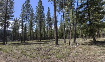 Nhn Mountain Vista Lane, Alberton, MT 59820