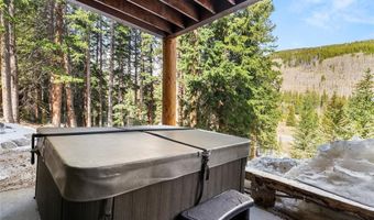 50 COONEY Ct, Blue River, CO 80424
