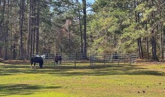1471 Hwy C-180, Baker, FL 32531