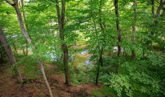 1250 OLD DOWNING MILL Rd, Anniston, AL 36207