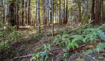 7097 Fickle Hill Rd, Arcata, CA 95521