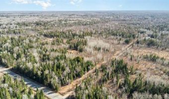 6002 Wildwood, Alger, MI 48610