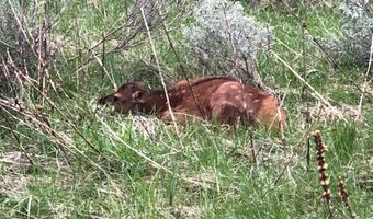 300 W TETON HIDEAWAY Dr, Alta, WY 83414
