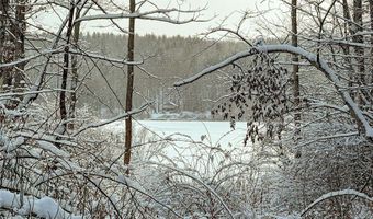 00 Fawn Lake Rd, Addison, NY 14801