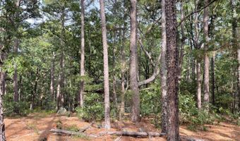 175626 Boulder Rd, Antlers, OK 74523