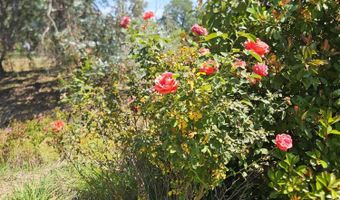 17705 Coyote Ln, Anderson, CA 96007