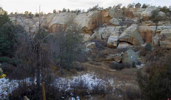 000 County Road 40.2 Poitry Canyon Ranch, Branson, CO 81027