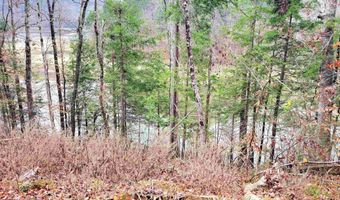458 COUNTY ROAD 4036 Lot 0, Arley, AL 35541