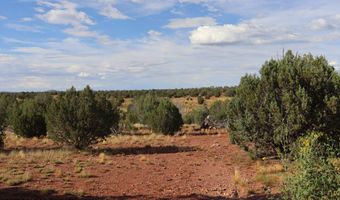 44175 Cattle Dr, Ash Fork, AZ 86320