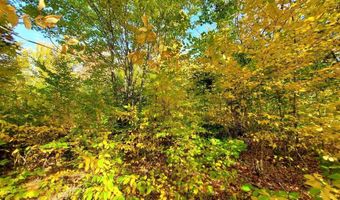 91 Greenleaf Brook Rd, Amity, ME 04730