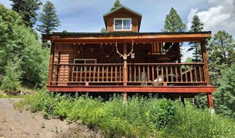 1407 Clarke Mountain Ln, Antonito, CO 81120