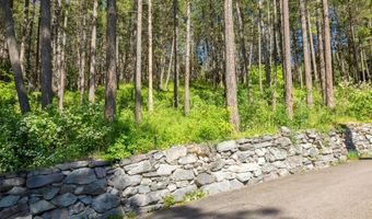 14690 Shore Acres Dr, Bigfork, MT 59911