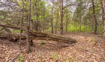 493 County Road 151, Alton, MO 65606