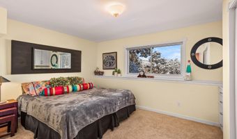 255 Little Pinon, Basalt, CO 81621
