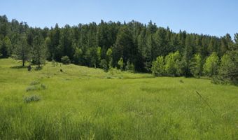 TBD County Road 59, Allenspark, CO 80510