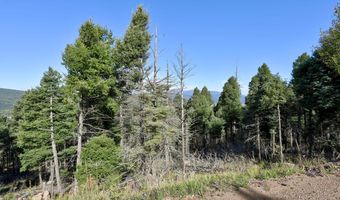 Vail Overlook S lot 323, Angel Fire, NM 87710