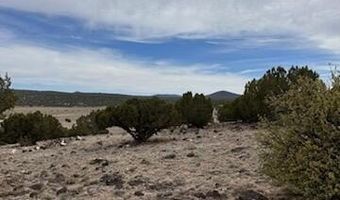 38 CR 8250, Concho, AZ 85924