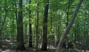 0000 Mifflin Rd, Beech Bluff, TN 38301