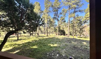 102 Pine Cone Ln Lot 45A, Alto, NM 88312