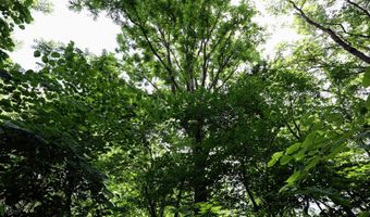 25270 B Dr S, Albion, MI 49224