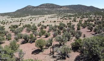 006 N8604, Concho, AZ 85924