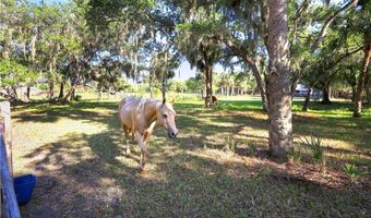 17731 Palm Beach Blvd, Alva, FL 33920