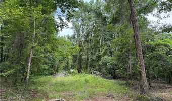 Tbd NW 67TH BOULEVARD, Alachua, FL 32615