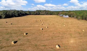 0 County Road 127, Banks, AL 36005