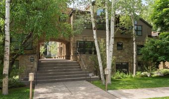 925 E DURANT Ave 2, Aspen, CO 81611