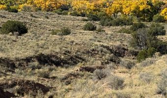DUANE Street, Abiquiu, NM 87510